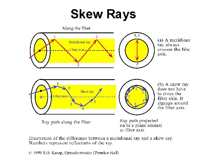 Skew Rays 