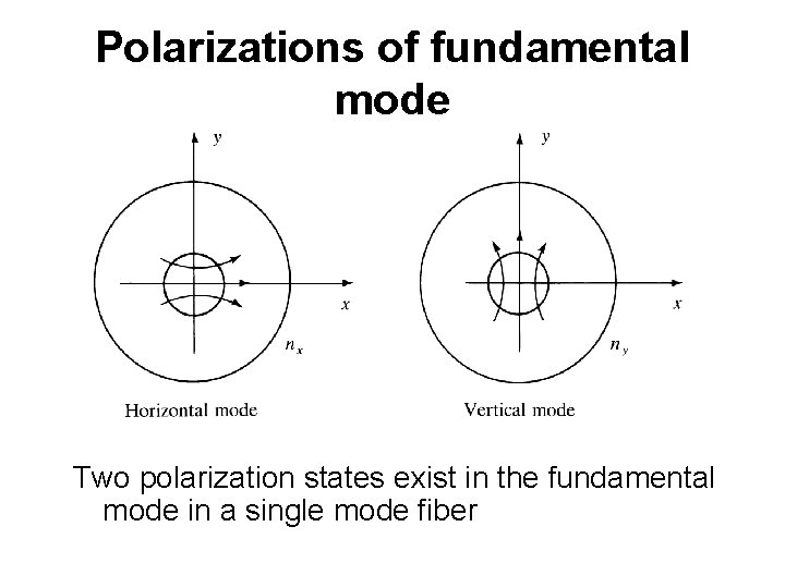 Polarizations of fundamental mode Two polarization states exist in the fundamental mode in a