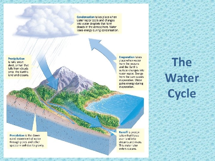 The Water Cycle 