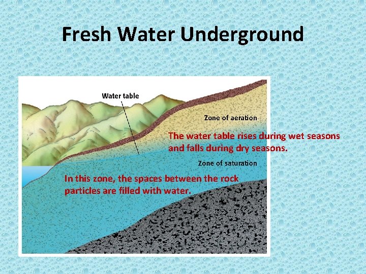 Fresh Water Underground The water table rises during wet seasons and falls during dry
