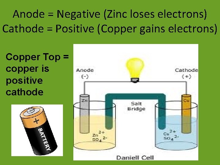 Anode = Negative (Zinc loses electrons) Cathode = Positive (Copper gains electrons) Copper Top