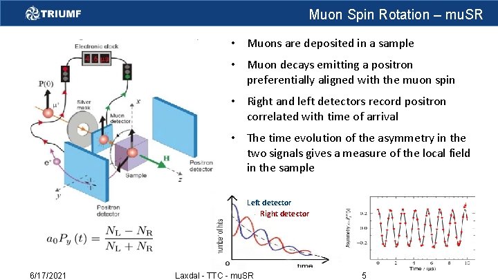Muon Spin Rotation – mu. SR • Muons are deposited in a sample •