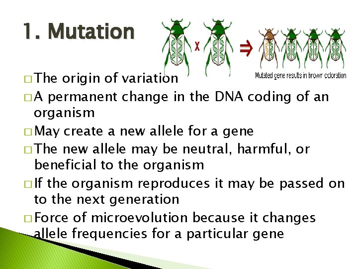 1. Mutation � The origin of variation � A permanent change in the DNA