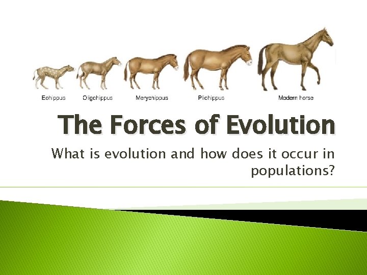 The Forces of Evolution What is evolution and how does it occur in populations?