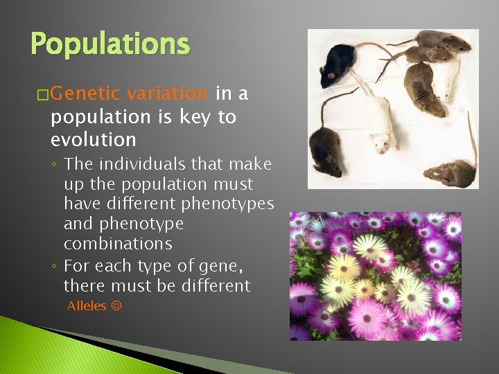 Populations � Genetic variation in a population is key to evolution ◦ The individuals