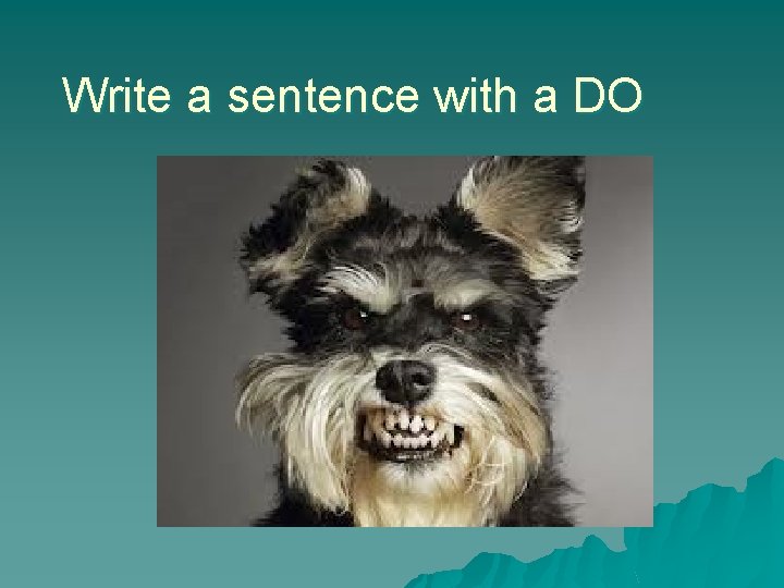 Write a sentence with a DO 