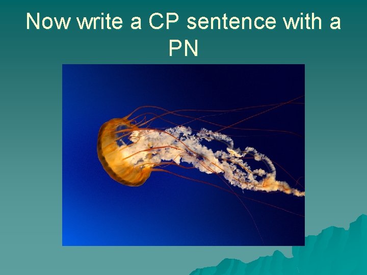 Now write a CP sentence with a PN 