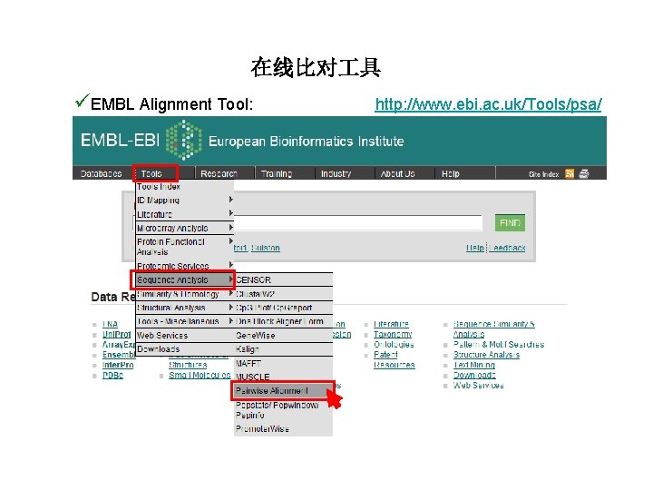 在线比对 具 üEMBL Alignment Tool: http: //www. ebi. ac. uk/Tools/psa/ 