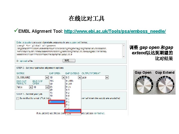 在线比对 具 üEMBL Alignment Tool: http: //www. ebi. ac. uk/Tools/psa/emboss_needle/ 调整 gap open 和gap