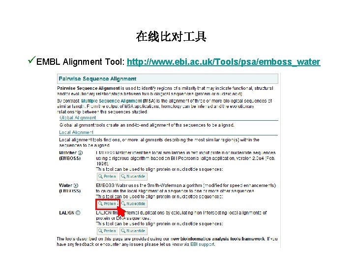 在线比对 具 üEMBL Alignment Tool: http: //www. ebi. ac. uk/Tools/psa/emboss_water 