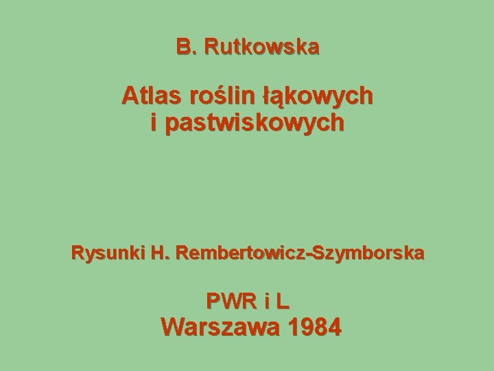 B. Rutkowska Atlas roślin łąkowych i pastwiskowych Rysunki H. Rembertowicz-Szymborska PWR i L Warszawa