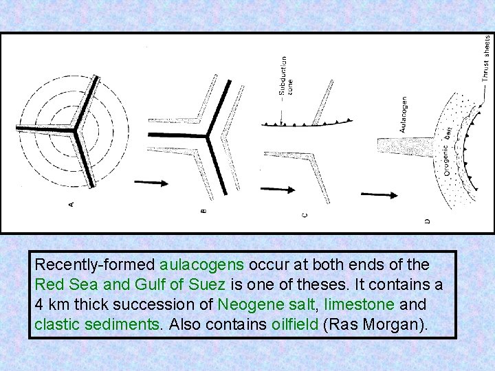 Recently-formed aulacogens occur at both ends of the Red Sea and Gulf of Suez