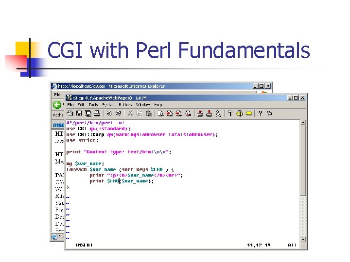 CGI with Perl Fundamentals 