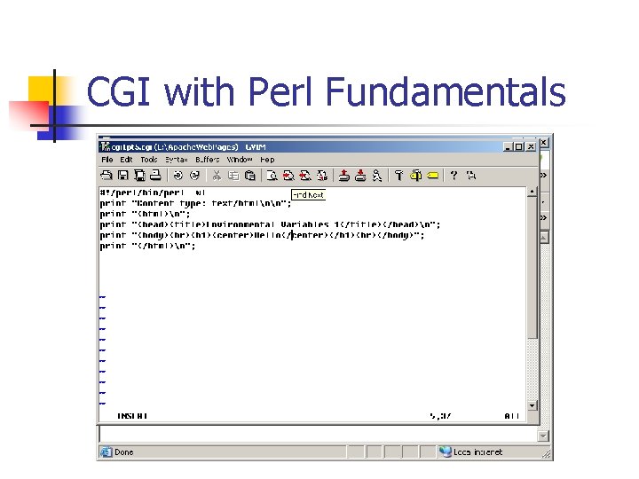CGI with Perl Fundamentals 