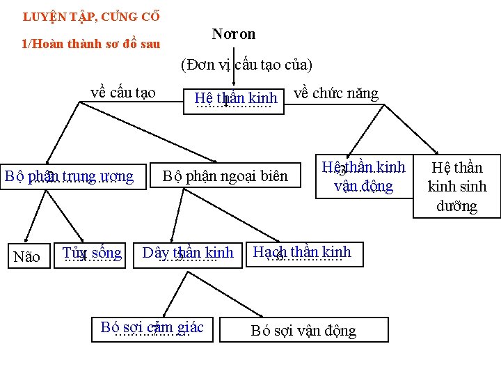 LUYÊ N T P, CU NG CÔ Nơron 1/Hoàn thành sơ đồ sau (Đơn