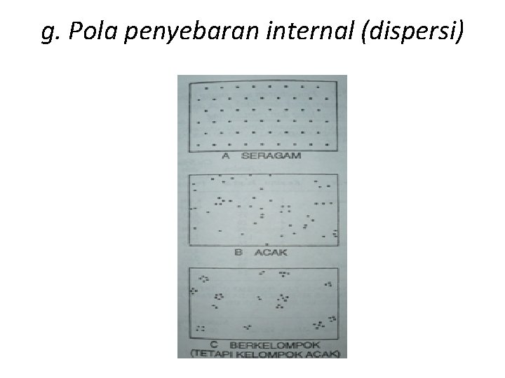 g. Pola penyebaran internal (dispersi) 