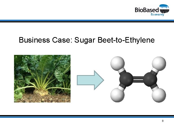 Business Case: Sugar Beet-to-Ethylene 8 