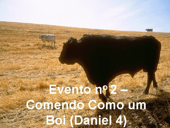 o n 2 Evento – Comendo Como um Boi (Daniel 4) 