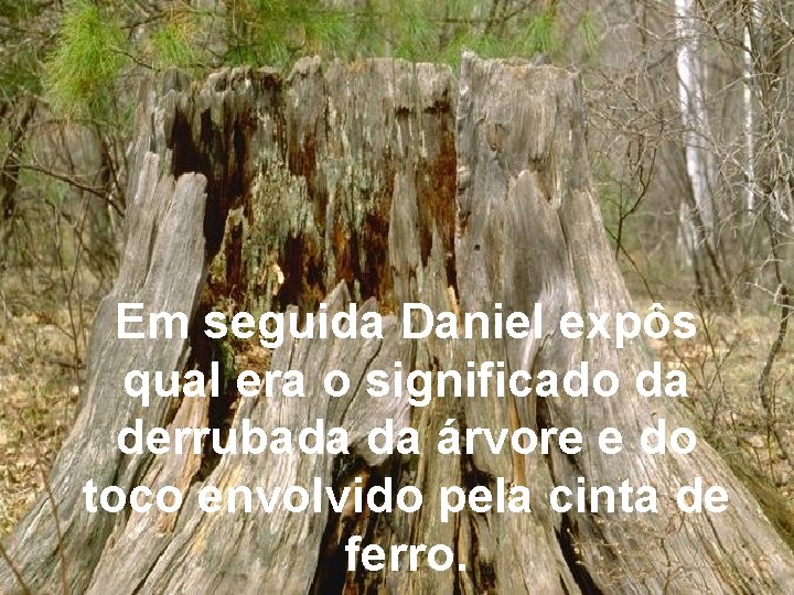 Em seguida Daniel expôs qual era o significado da derrubada da árvore e do