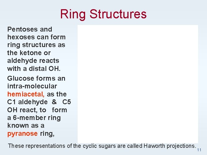 Ring Structures Pentoses and hexoses can form ring structures as the ketone or aldehyde