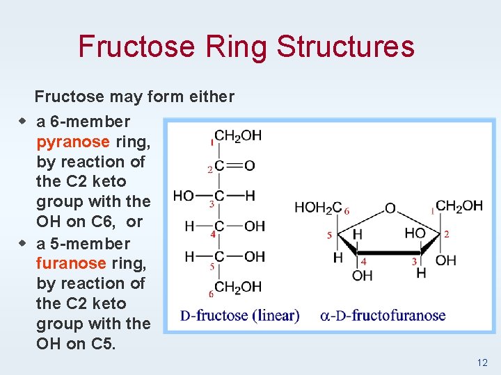 Fructose Ring Structures Fructose may form either w a 6 -member pyranose ring, by