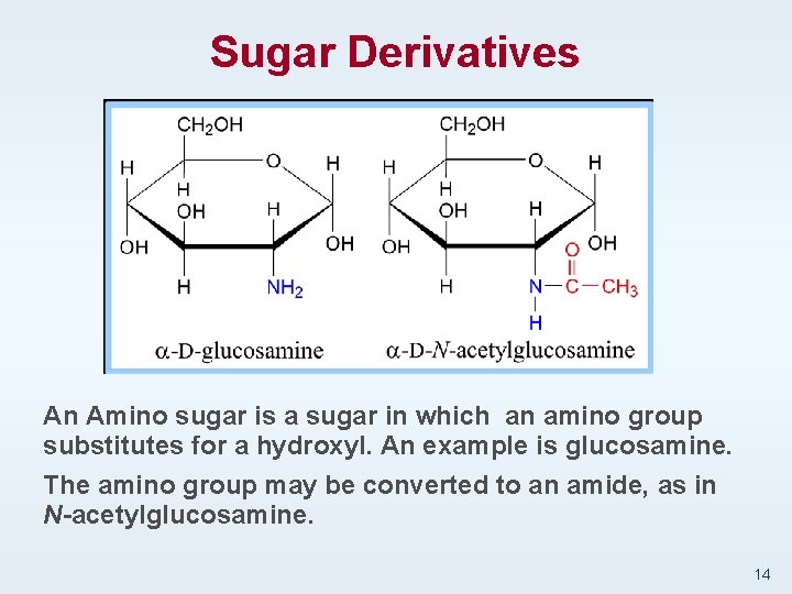 Sugar Derivatives An Amino sugar is a sugar in which an amino group substitutes
