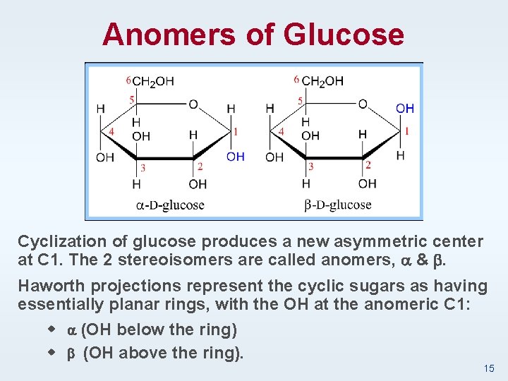 Anomers of Glucose Cyclization of glucose produces a new asymmetric center at C 1.