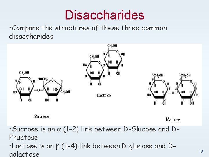 Disaccharides • Compare the structures of these three common disaccharides H H • Sucrose
