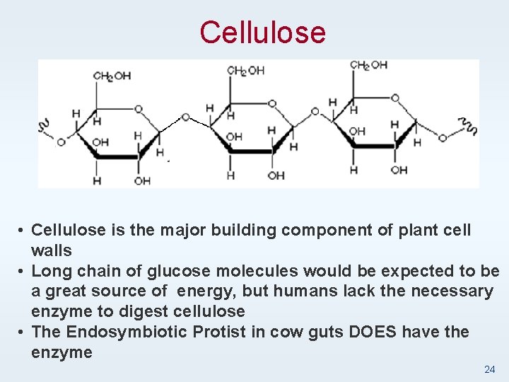Cellulose • Cellulose is the major building component of plant cell walls • Long