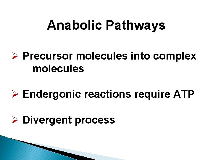 Anabolic Pathways Ø Precursor molecules into complex molecules Ø Endergonic reactions require ATP Ø