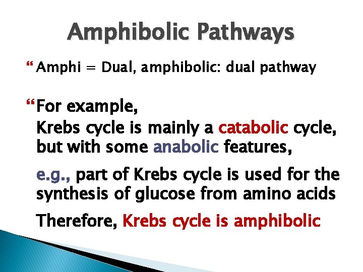 Amphibolic Pathways Amphi = Dual, amphibolic: dual pathway For example, Krebs cycle is mainly
