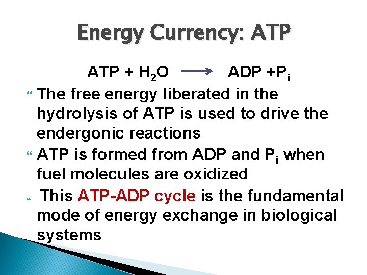 Energy Currency: ATP + H 2 O ADP +Pi The free energy liberated in