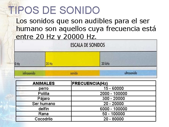 TIPOS DE SONIDO Los sonidos que son audibles para el ser humano son aquellos