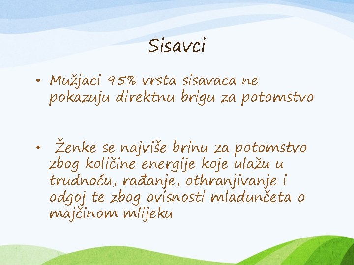 Sisavci • Mužjaci 95% vrsta sisavaca ne pokazuju direktnu brigu za potomstvo • Ženke