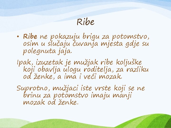 Ribe • Ribe ne pokazuju brigu za potomstvo, osim u slučaju čuvanja mjesta gdje