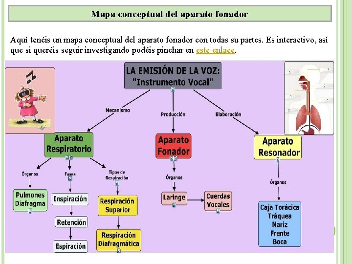 Mapa conceptual del aparato fonador Aquí tenéis un mapa conceptual del aparato fonador con