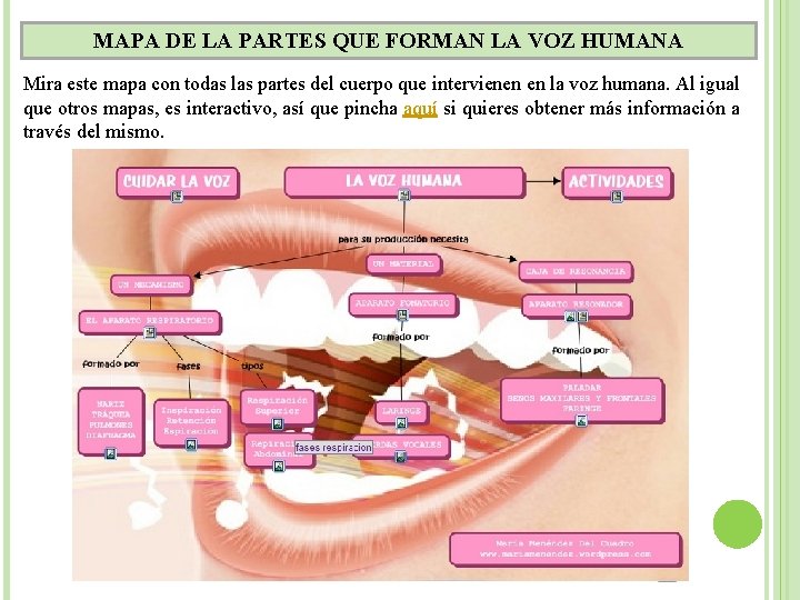 MAPA DE LA PARTES QUE FORMAN LA VOZ HUMANA Mira este mapa con todas
