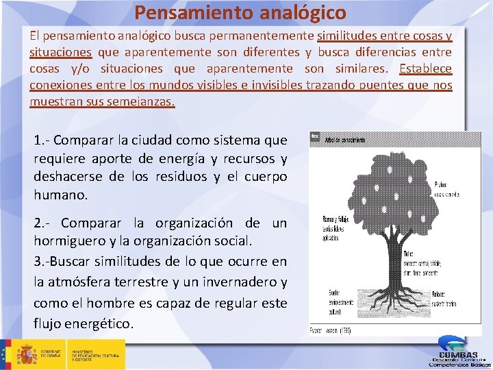 Pensamiento analógico El pensamiento analógico busca permanentemente similitudes entre cosas y situaciones que aparentemente