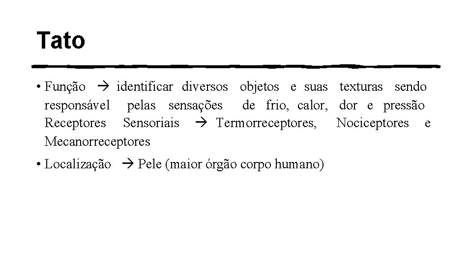 Tato • Função identificar diversos objetos e suas texturas sendo responsável pelas sensações de