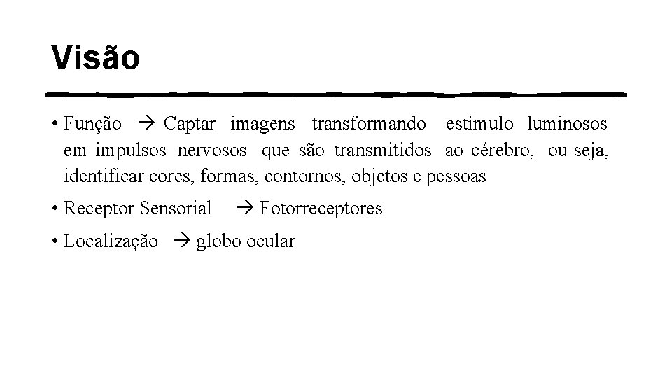 Visão • Função Captar imagens transformando estímulo luminosos em impulsos nervosos que são transmitidos