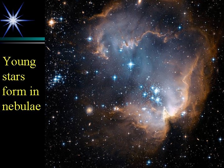 Young stars form in nebulae 