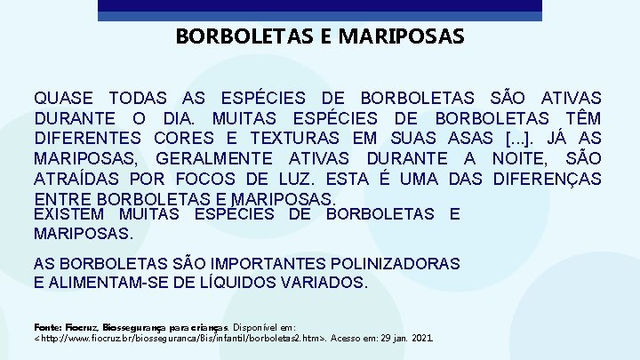 BORBOLETAS E MARIPOSAS QUASE TODAS AS ESPÉCIES DE BORBOLETAS SÃO ATIVAS DURANTE O DIA.