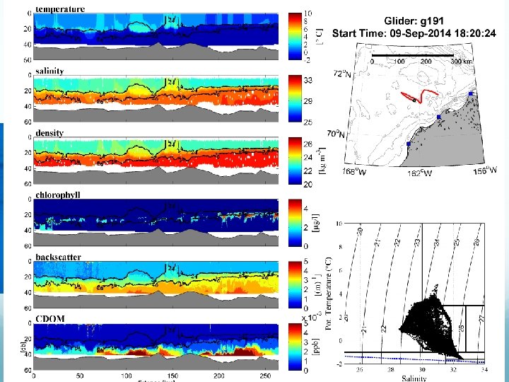 TWR Slocum Autonomous Underwater Glider 