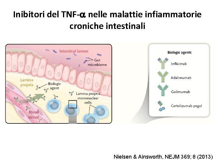 Inibitori del TNF-a nelle malattie infiammatorie croniche intestinali Nielsen & Ainsworth, NEJM 369; 8