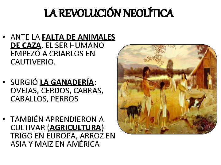 LA REVOLUCIÓN NEOLÍTICA • ANTE LA FALTA DE ANIMALES DE CAZA, EL SER HUMANO