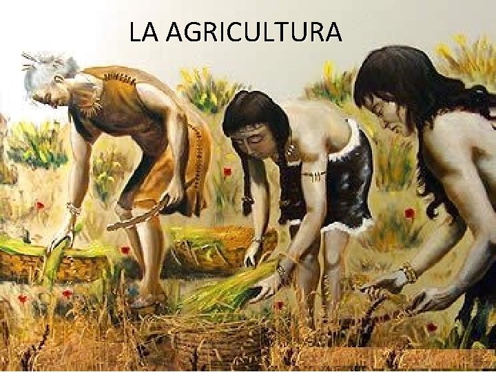 LA AGRICULTURA 