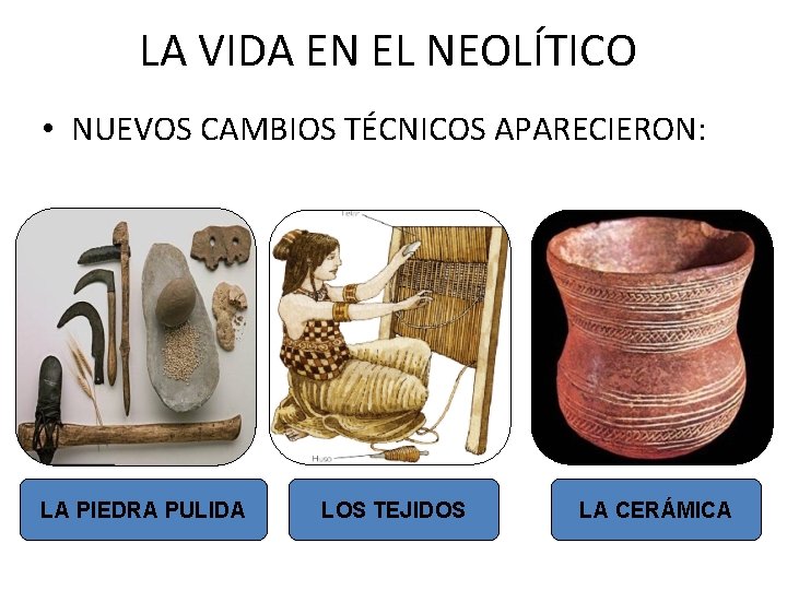 LA VIDA EN EL NEOLÍTICO • NUEVOS CAMBIOS TÉCNICOS APARECIERON: LA PIEDRA PULIDA LOS
