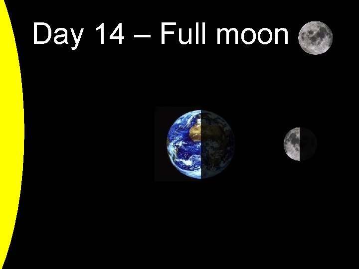 Day 14 – Full moon 