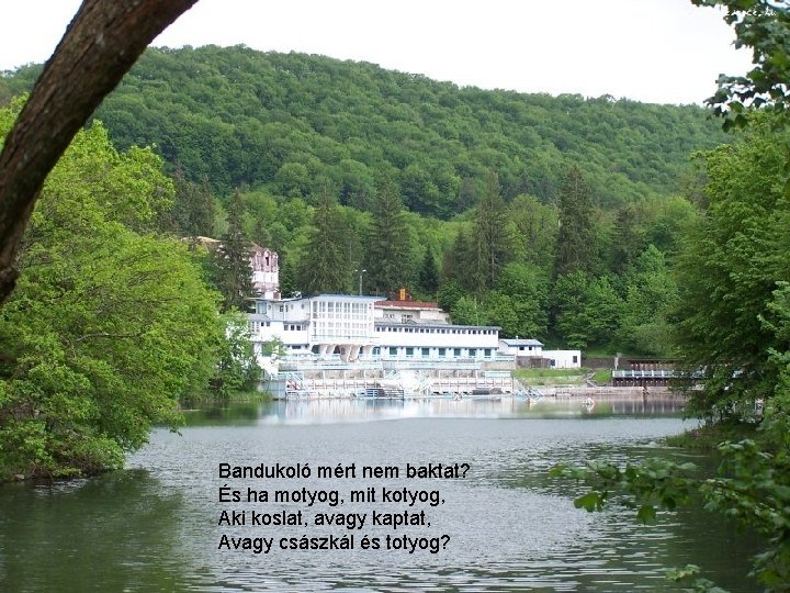 Bandukoló mért nem baktat? És ha motyog, mit kotyog, Aki koslat, avagy kaptat, Avagy