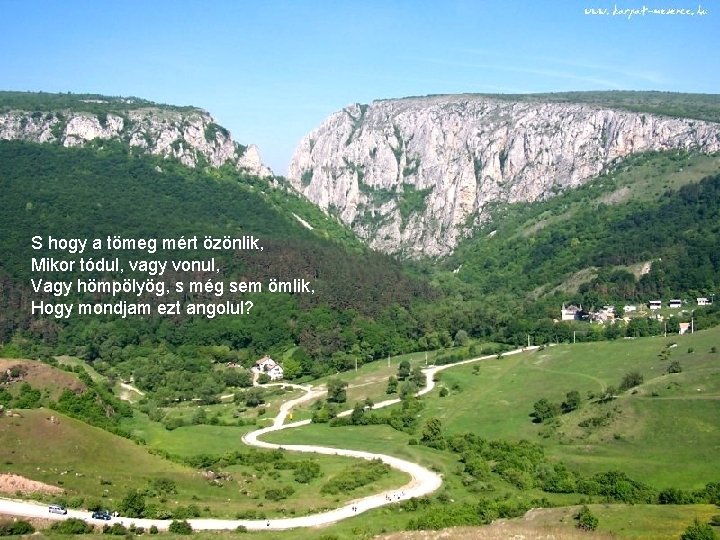 S hogy a tömeg mért özönlik, Mikor tódul, vagy vonul, Vagy hömpölyög, s még